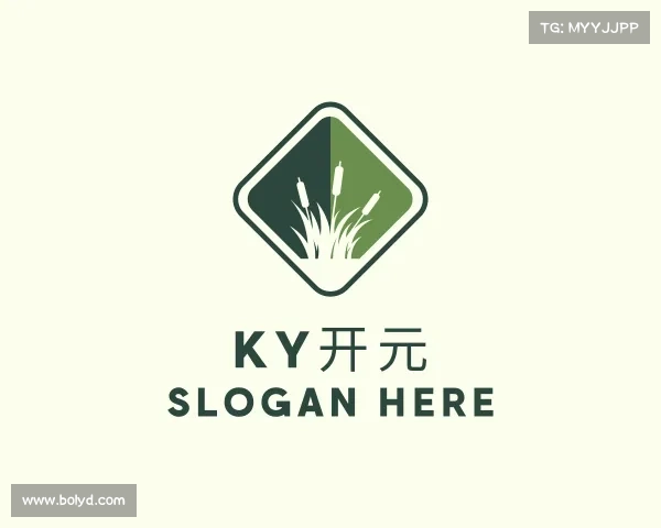 知道KY开元